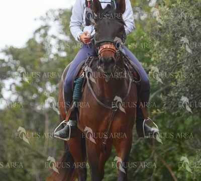 TREC01-06082024-64