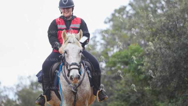 TREC01-06082024-68