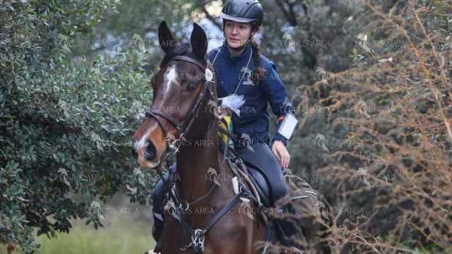 TREC01-06082024-70