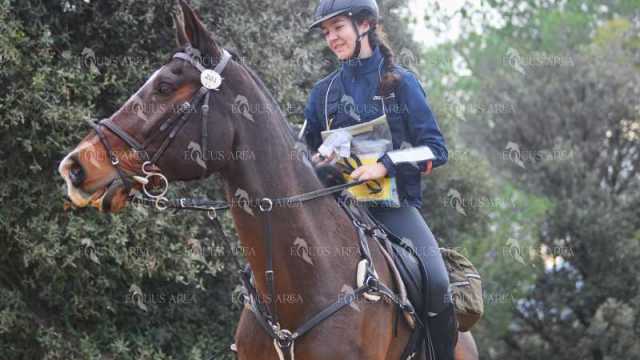 TREC01-06082024-71