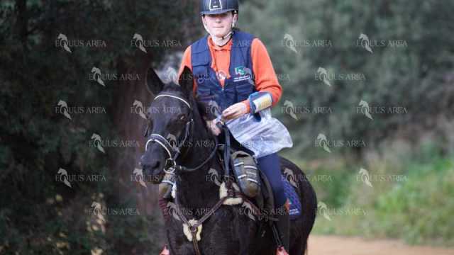 TREC01-06082024-73