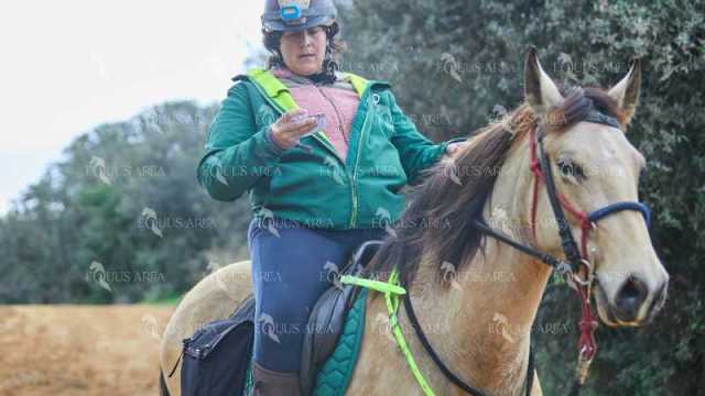 TREC01-06082024-75