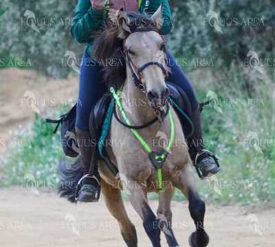 TREC01-06082024-76