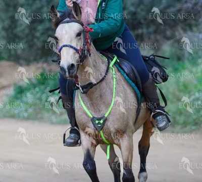 TREC01-06082024-77