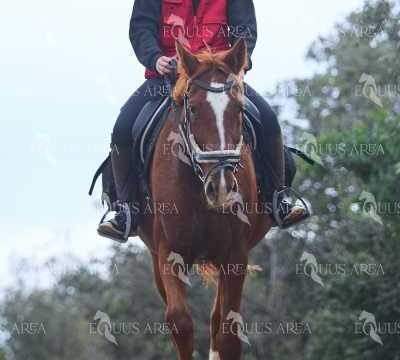 TREC01-06082024-78