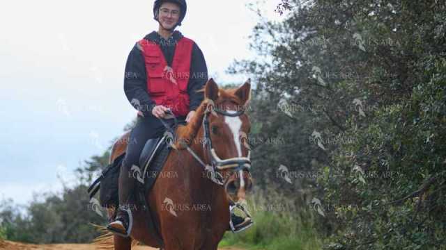 TREC01-06082024-79