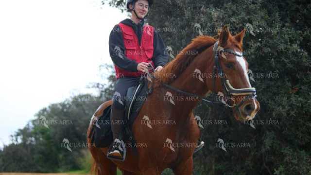 TREC01-06082024-80