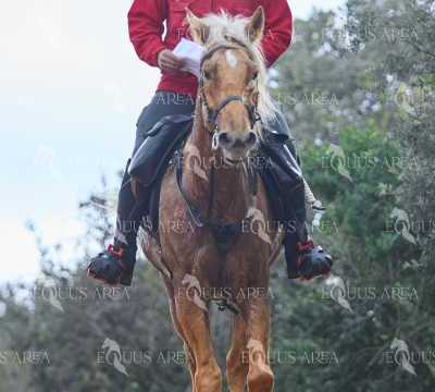 TREC01-06082024-81