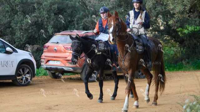 TREC01-06082024-85
