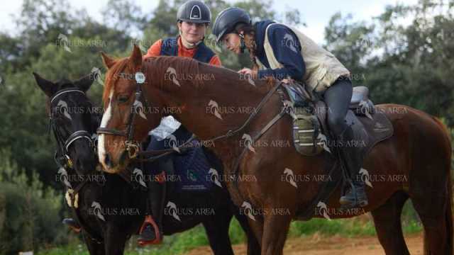 TREC01-06082024-86