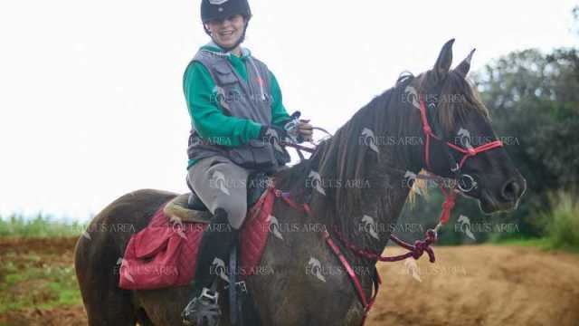TREC01-06082024-91