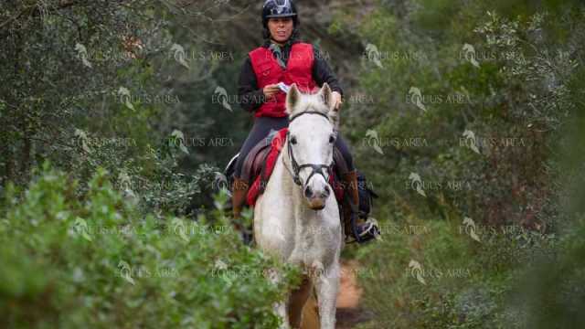 TREC01-06082024-92