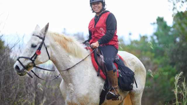 TREC01-06082024-94