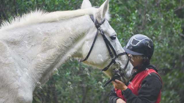 TREC01-06082024-95