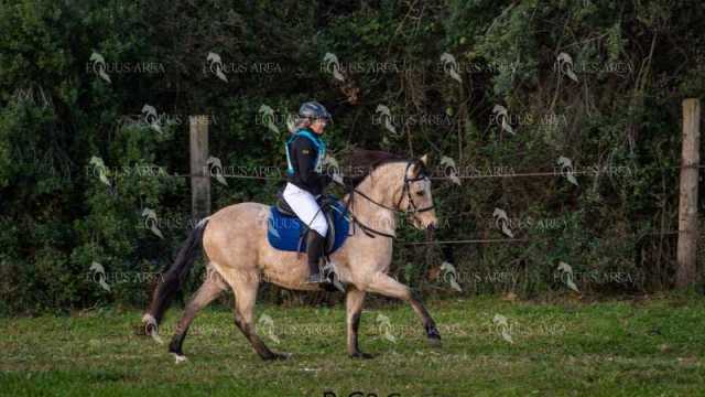 TREC02-06082024-05