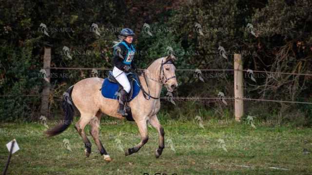 TREC02-06082024-06