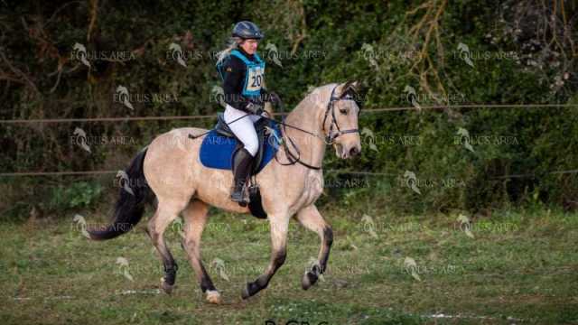 TREC02-06082024-07