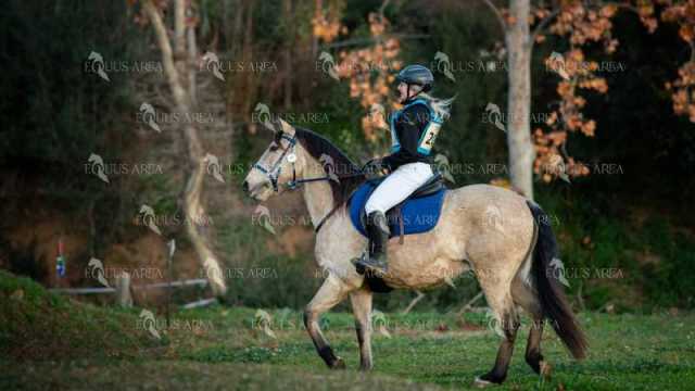 TREC02-06082024-08
