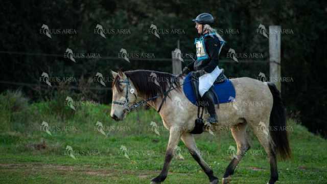 TREC02-06082024-09
