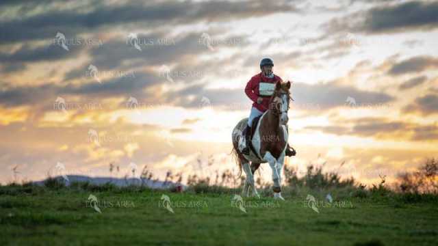TREC02-06082024-10