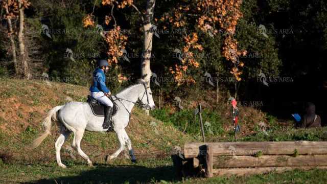 TREC02-06082024-100
