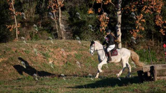 TREC02-06082024-102