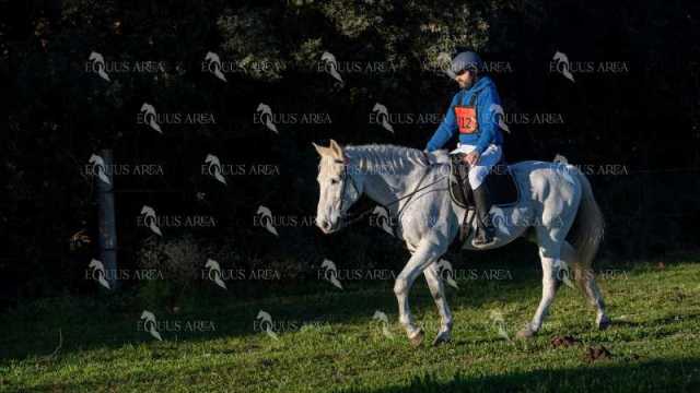 TREC02-06082024-103