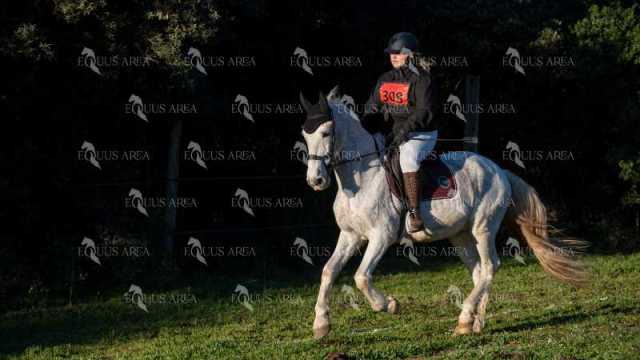 TREC02-06082024-104