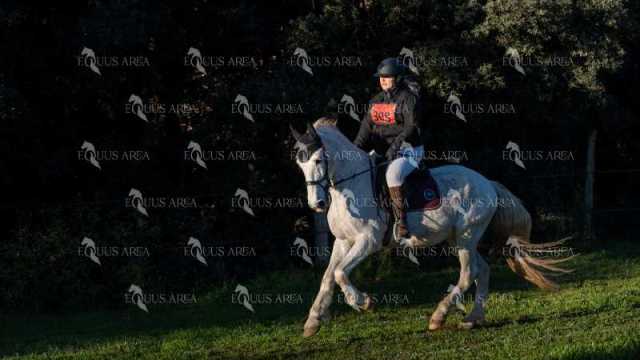 TREC02-06082024-105