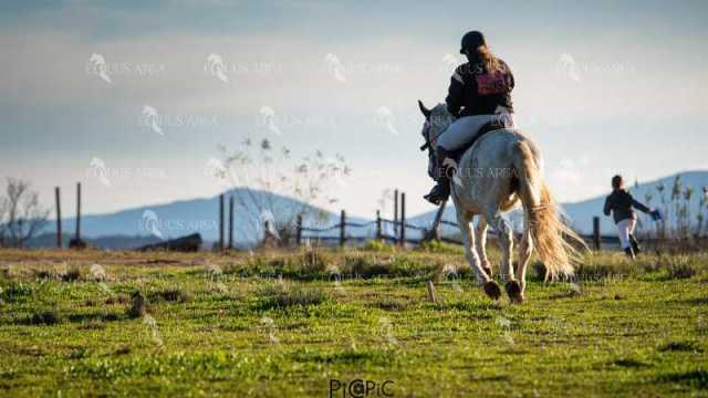 TREC02-06082024-106