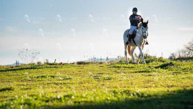 TREC02-06082024-107