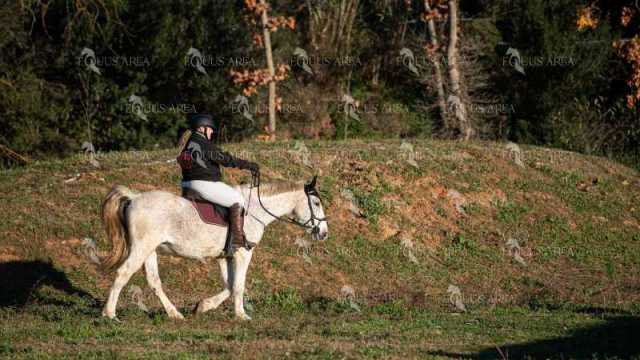 TREC02-06082024-108
