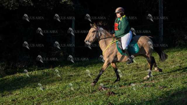 TREC02-06082024-109