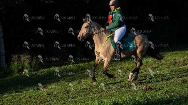 TREC02-06082024-110