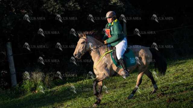 TREC02-06082024-111