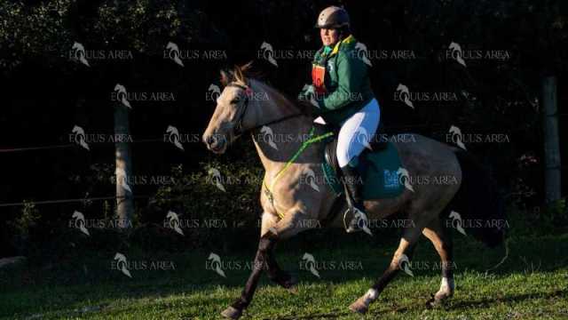 TREC02-06082024-112