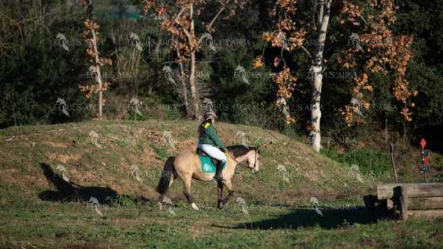 TREC02-06082024-113