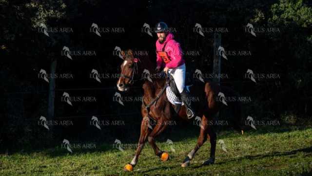 TREC02-06082024-114