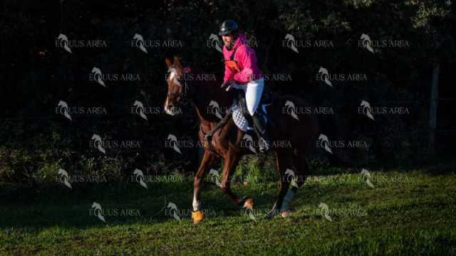 TREC02-06082024-115