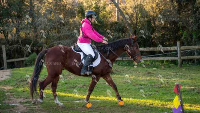 TREC02-06082024-117