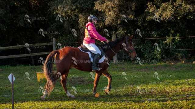 TREC02-06082024-118