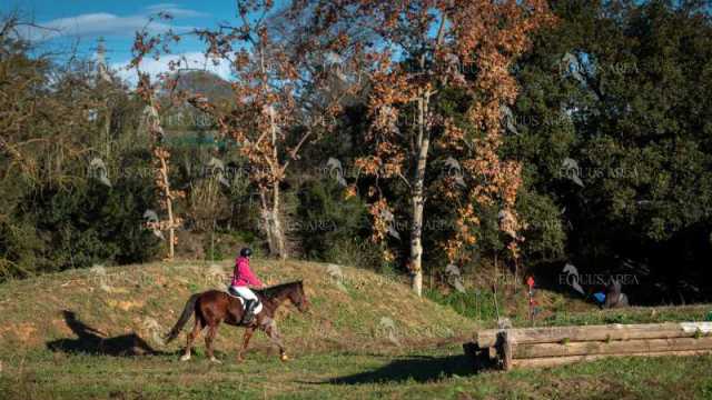 TREC02-06082024-119
