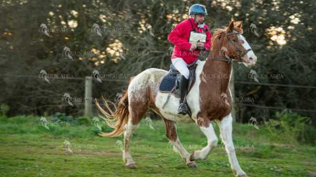 TREC02-06082024-12