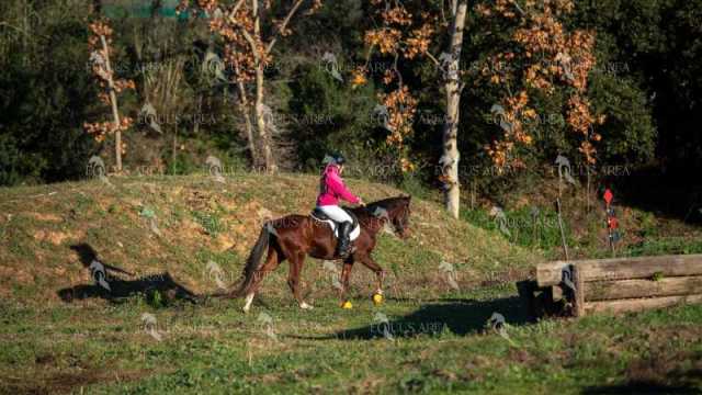 TREC02-06082024-120