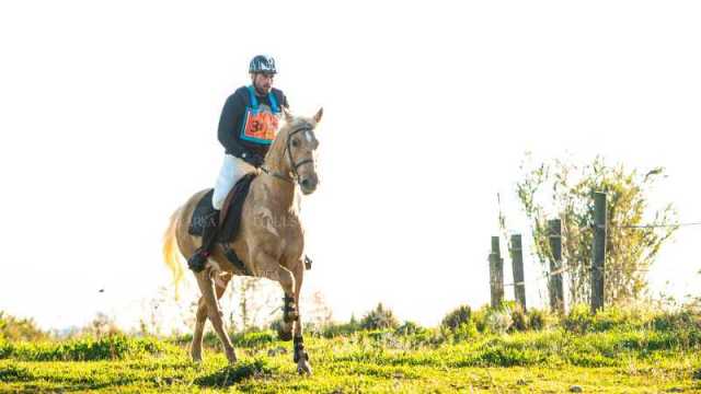 TREC02-06082024-121