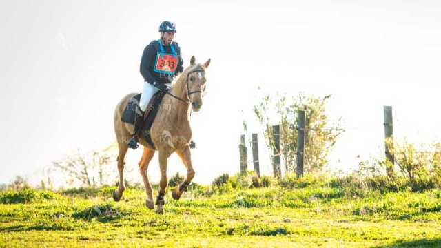 TREC02-06082024-122