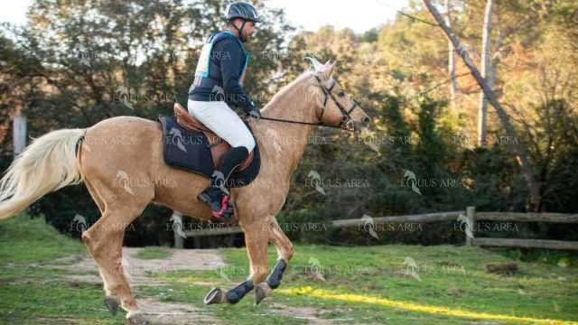 TREC02-06082024-123