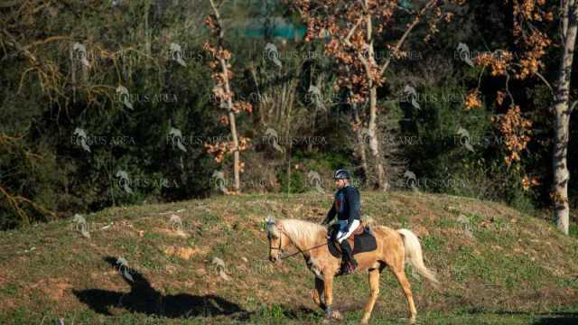 TREC02-06082024-124