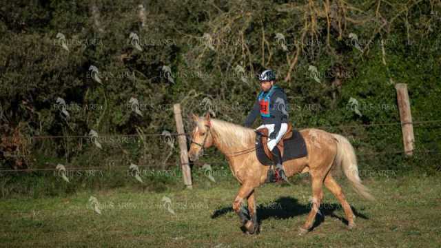 TREC02-06082024-125