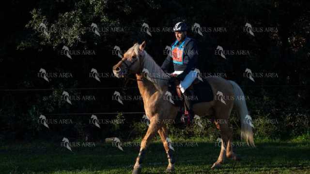 TREC02-06082024-126